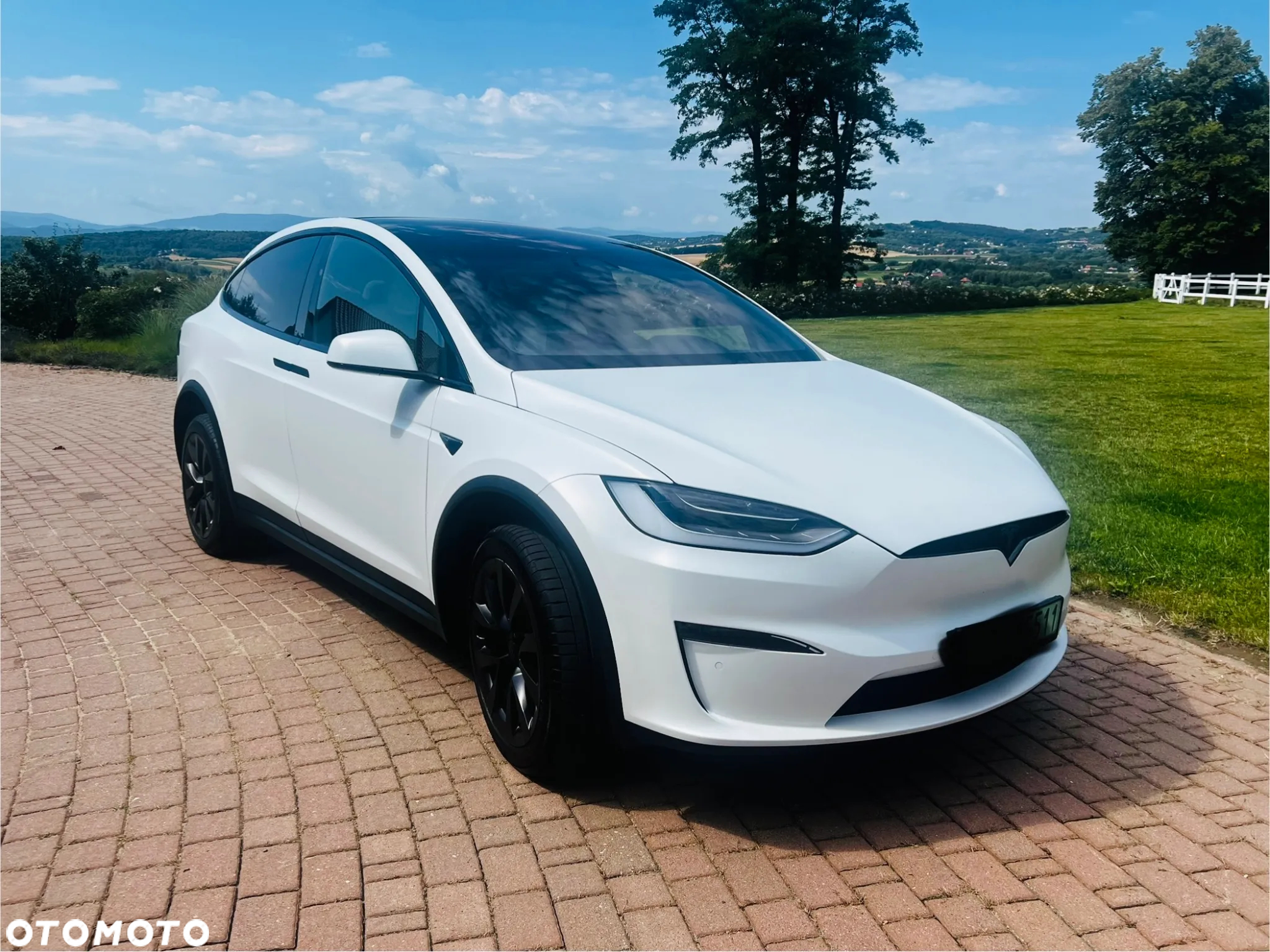 Tesla Model X Plaid - 22