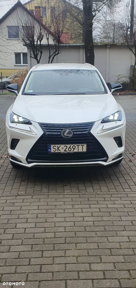 Lexus NX 300h Elegance + Business AWD - 7
