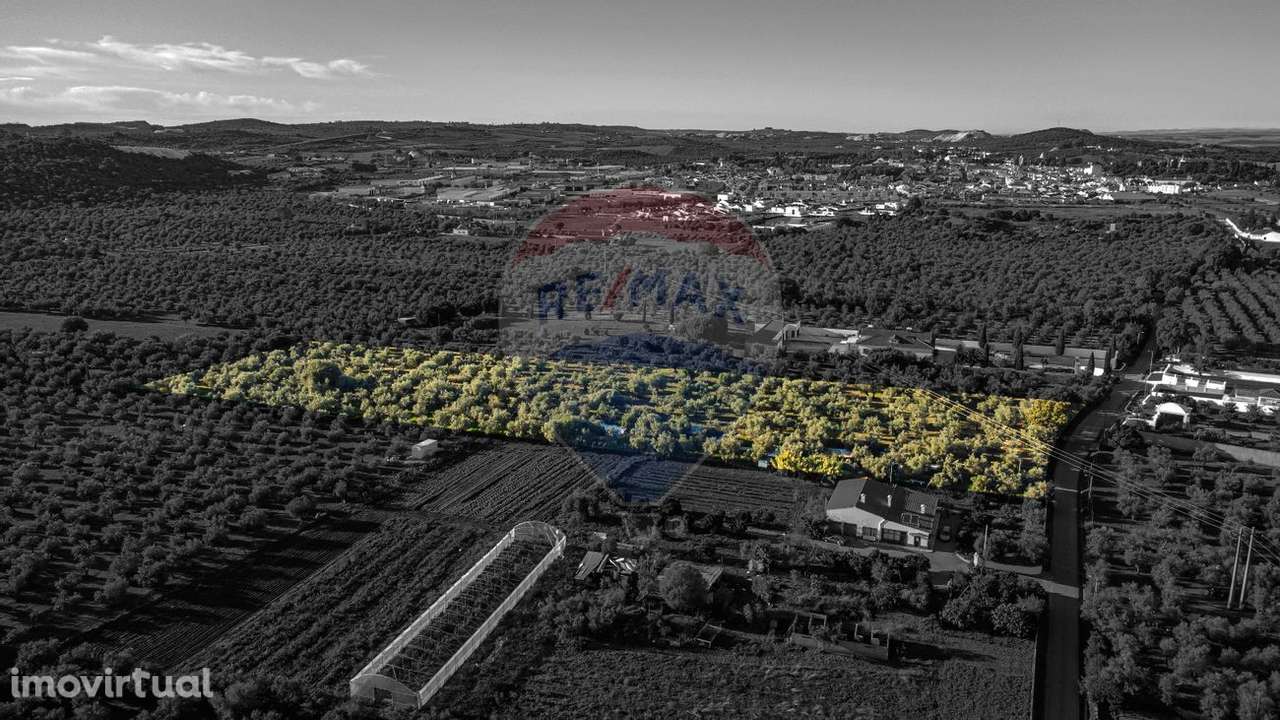 Terreno  para venda - Grande imagem: 5/12