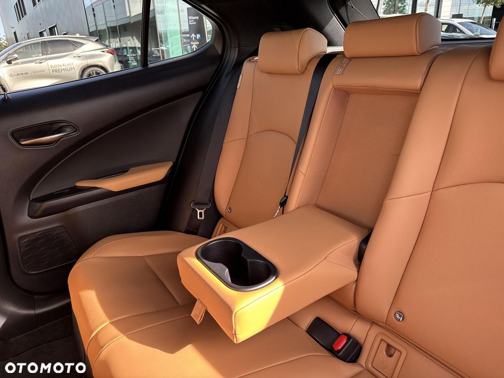 Lexus UX 250h GPF F Sport Design 2WD - 29