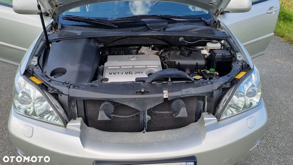 Lexus RX 300 Executive - 29