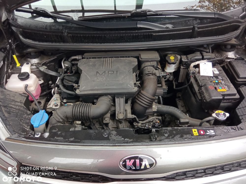 Kia Picanto - 15