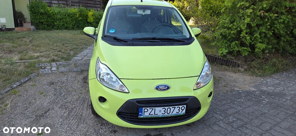 Ford KA 1.2 Start-Stopp-System Champions Edition - 2