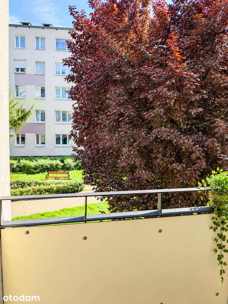 Komfortowe 2 pokojowe mieszkanie z balkonem