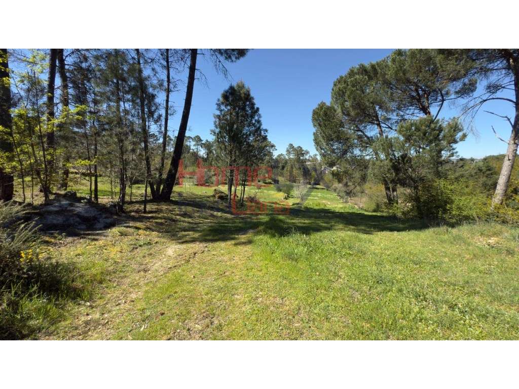 Terrenos em S. João de Lourosa, Viseu - Grande imagem: 2/36