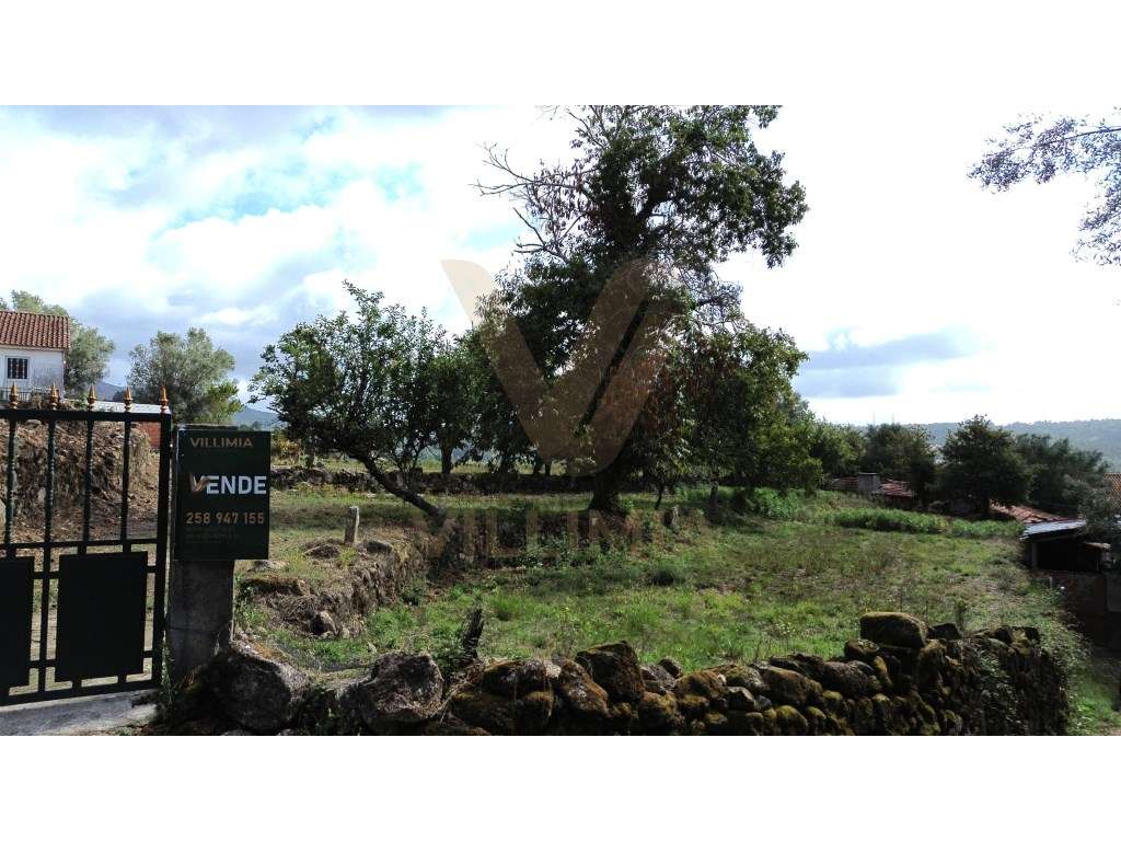 Terreno com 5.352 m² - Vitorino dos Piães, Ponte de Lima - Grande imagem: 5/8