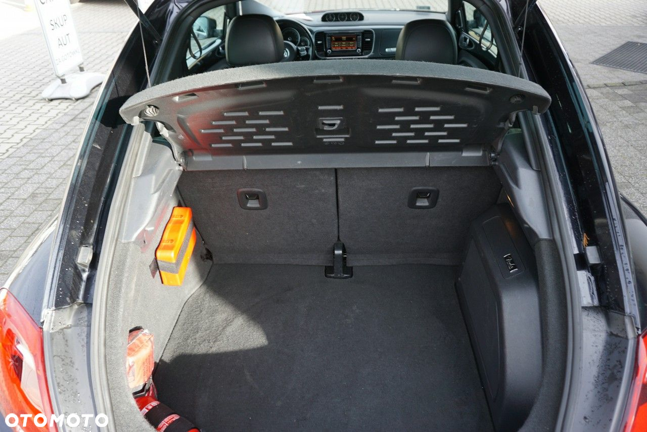 Volkswagen Beetle - 21