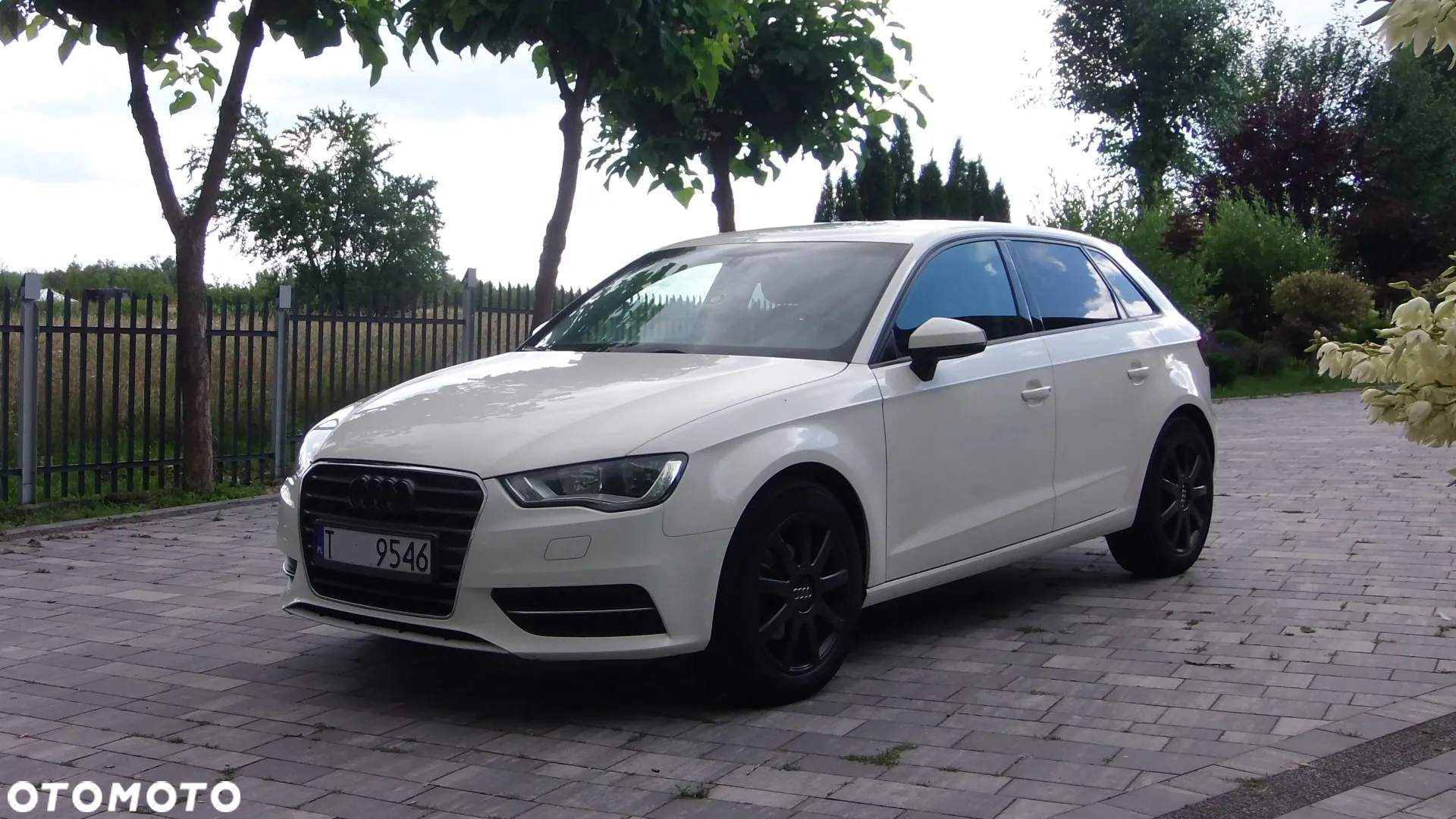 Audi A3 1.6 TDI Sportback - 8