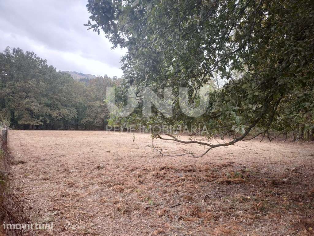 Terreno - Grande imagem: 5/9