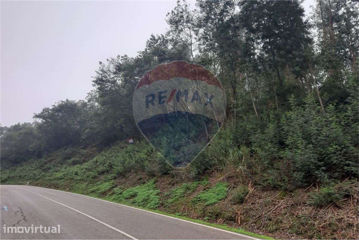 Terreno para construção em Antanhol - Grande imagem: 4/4
