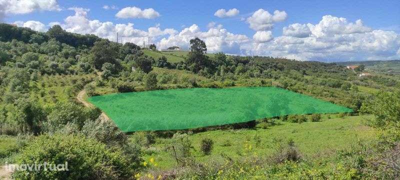 Terreno rústico em Cardosas - Arruda dos Vinhos - Grande imagem: 5/7