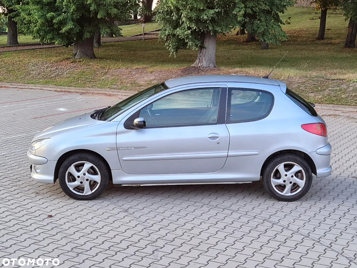 Peugeot 206 1.6 Quiksilver - 18