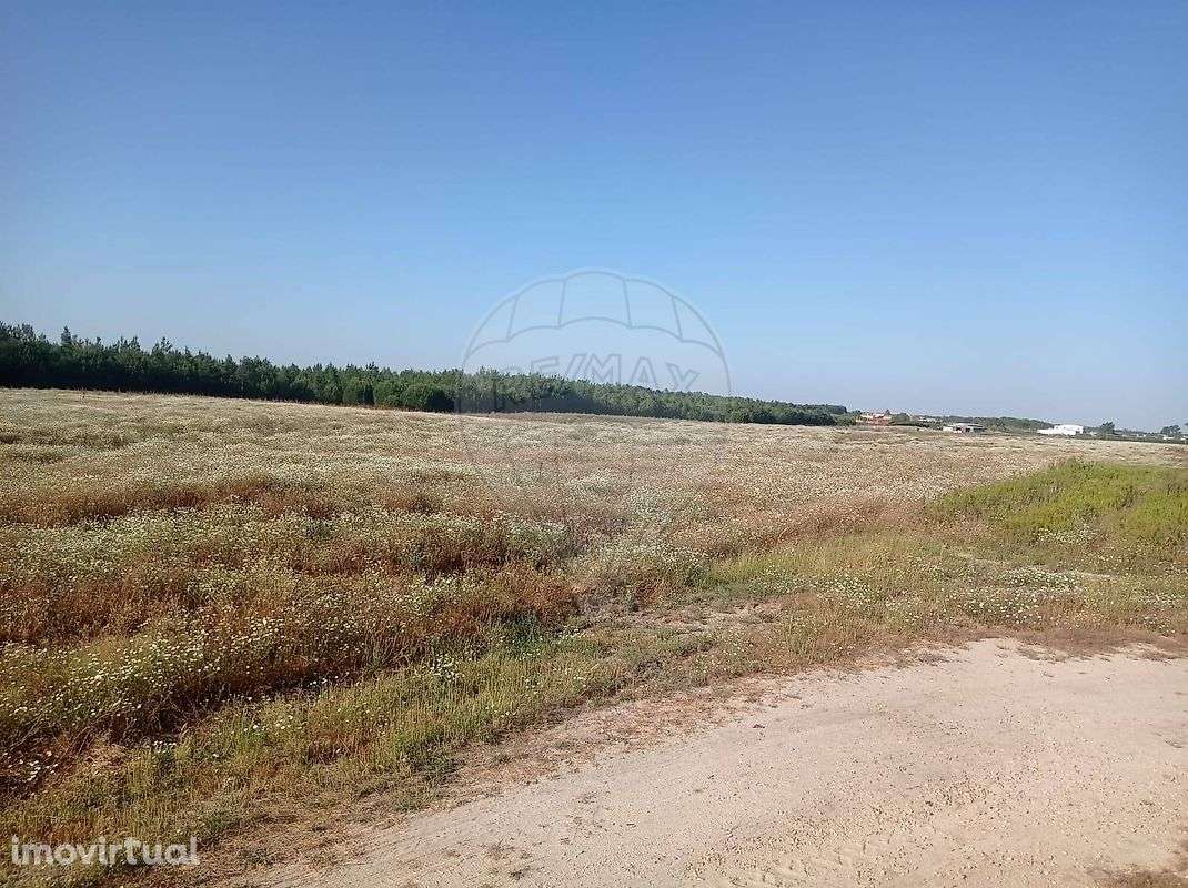 Terreno  para venda - Grande imagem: 3/5