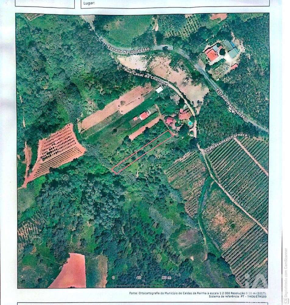 Terreno Agrícola em Carvalhal Benfeito - Grande imagem: 2/2