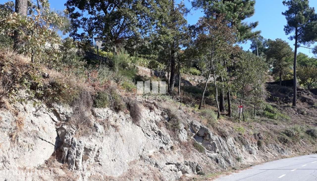 Venda Terreno, vista panorâmica, Valadares, Baião - Grande imagem: 4/6