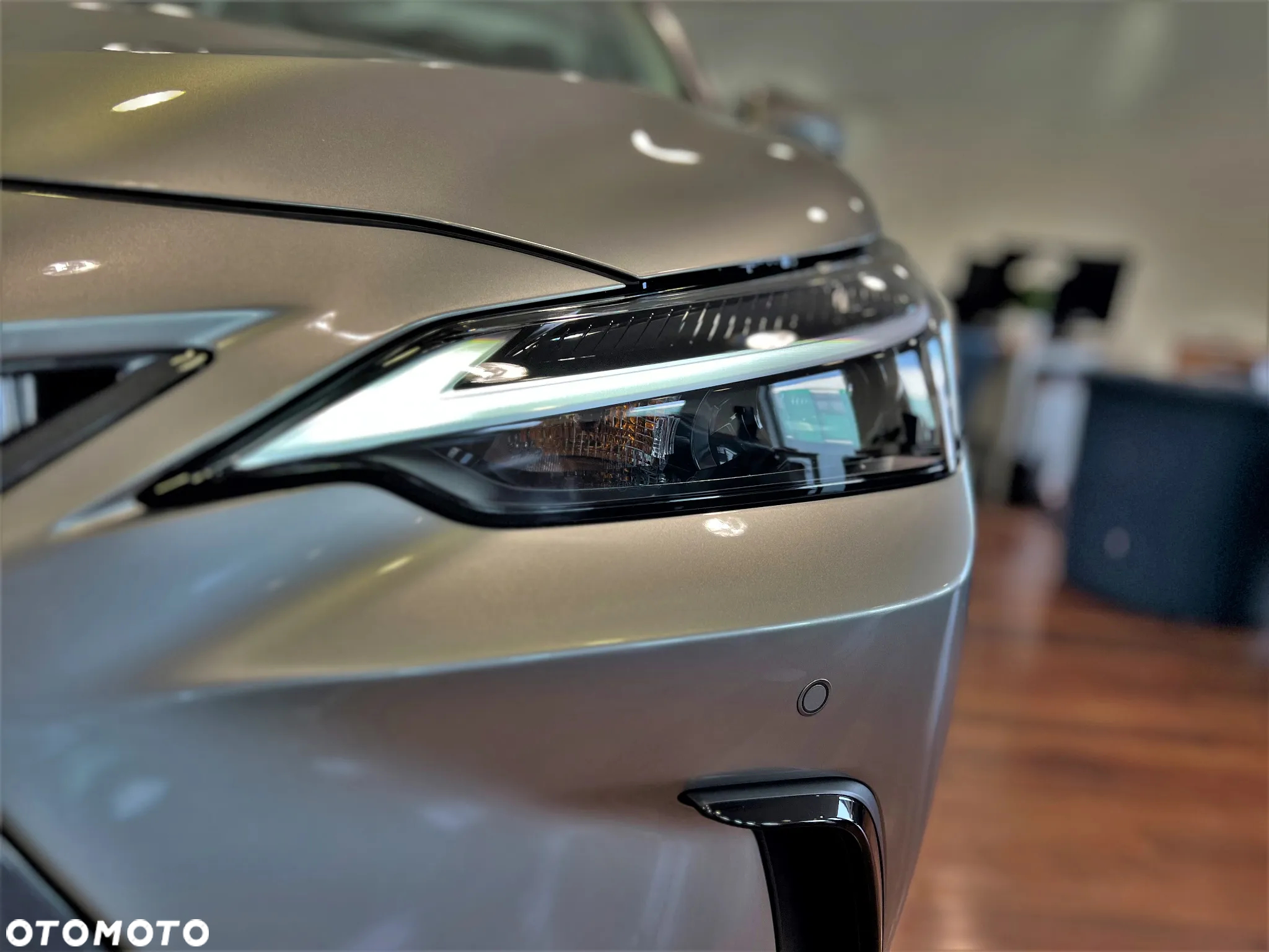 Lexus NX - 10