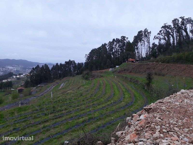 Terreno - São Pedro de Castelões - Vista 3