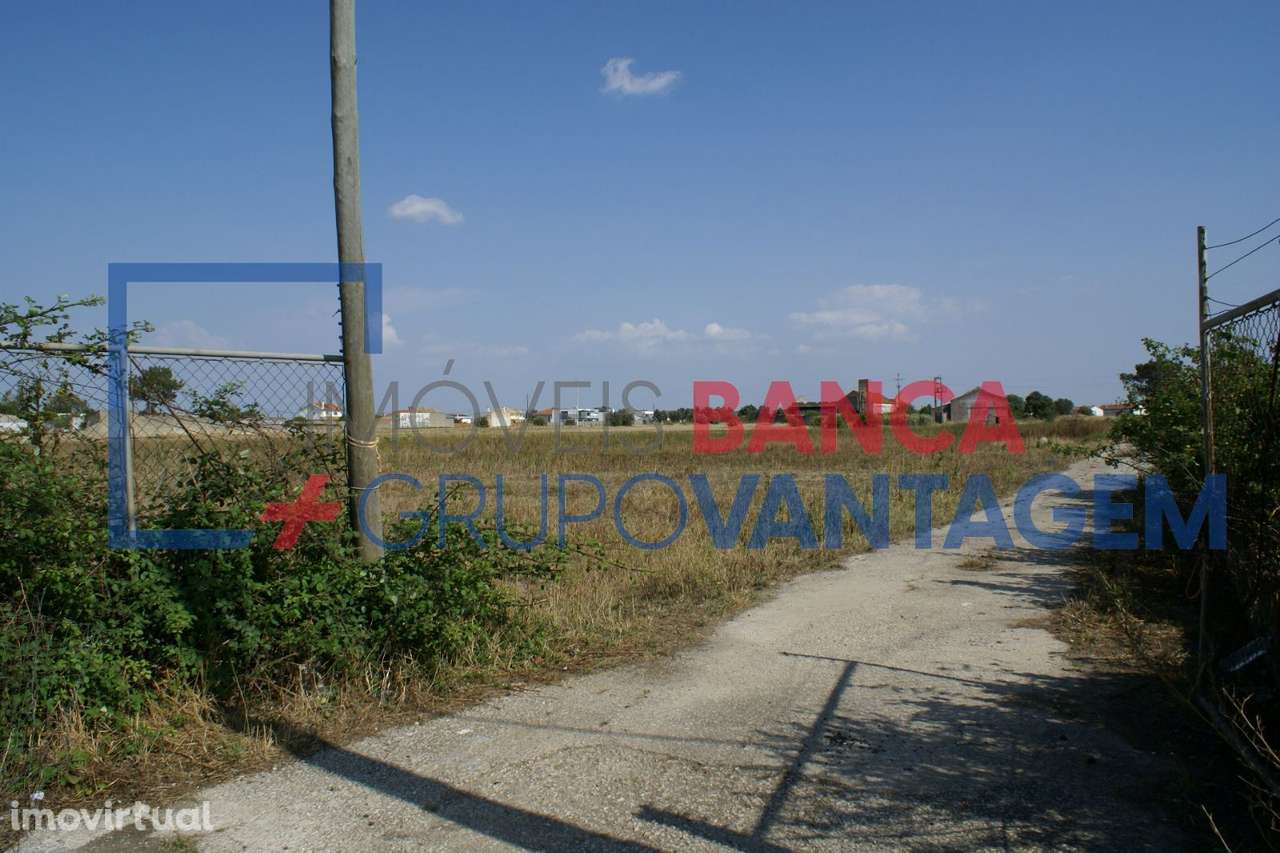Terreno misto no Montijo - Grande imagem: 3/20