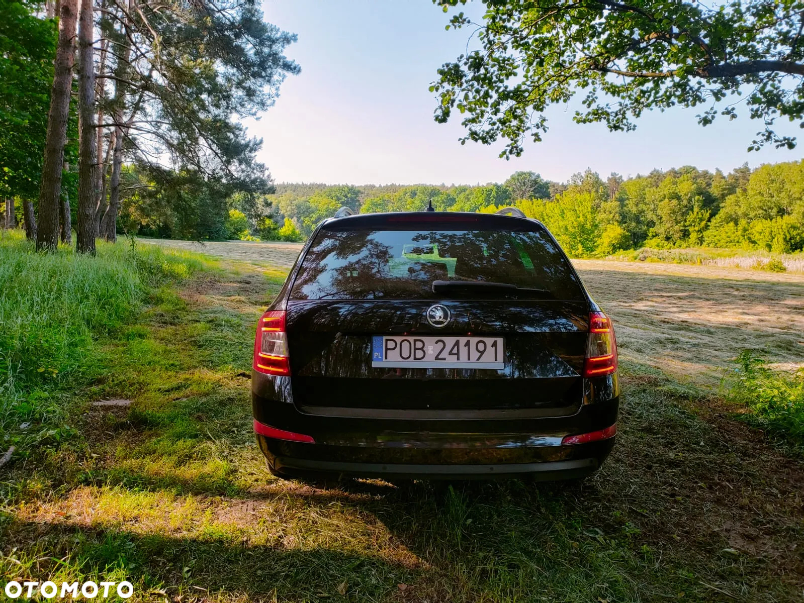 Skoda Octavia 1.6 TDI Ambition DSG - 8