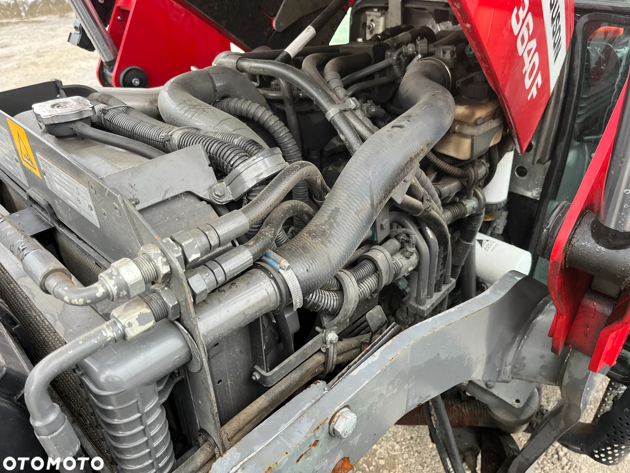 Massey Ferguson - 25
