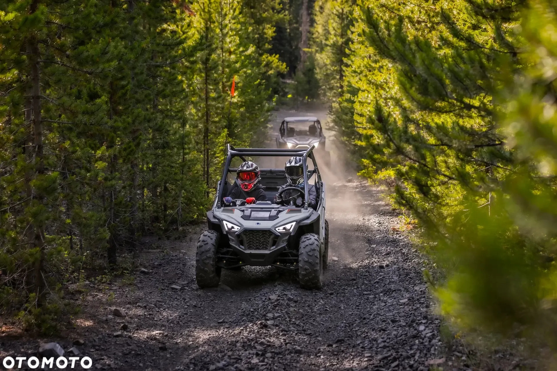 Polaris RZR - 16