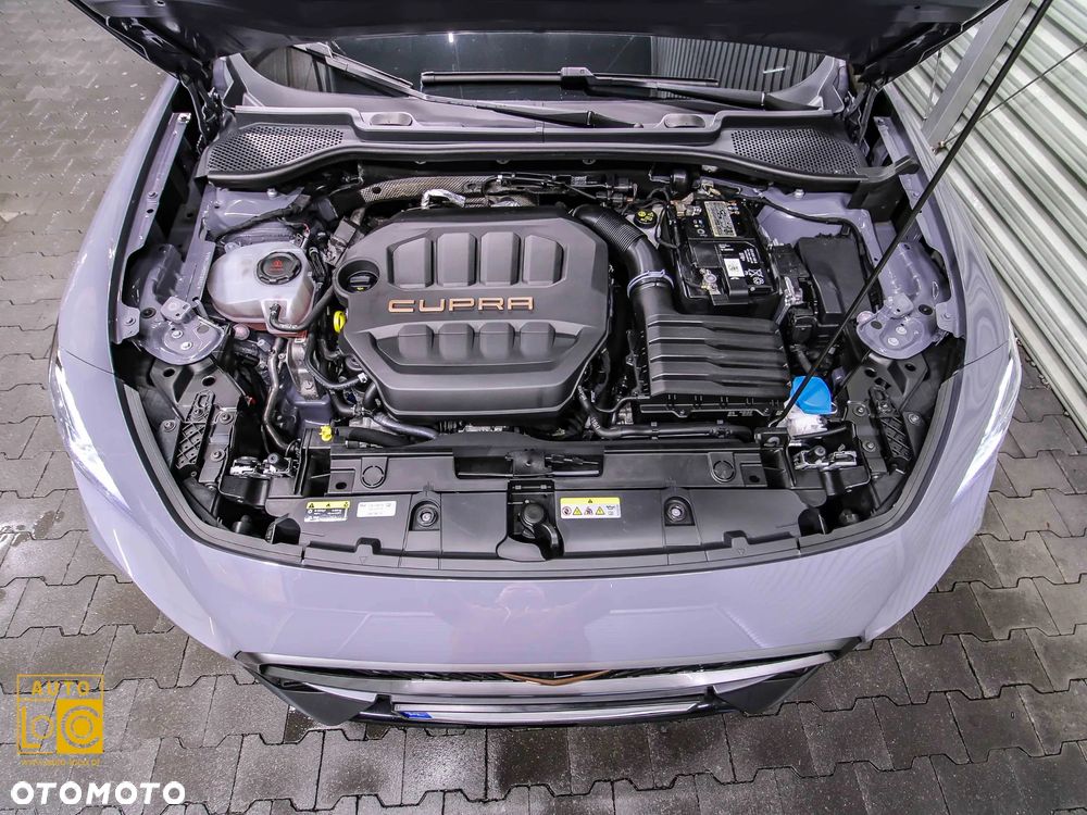 Cupra Formentor 2.0 TSI 4Drive DSG - 14