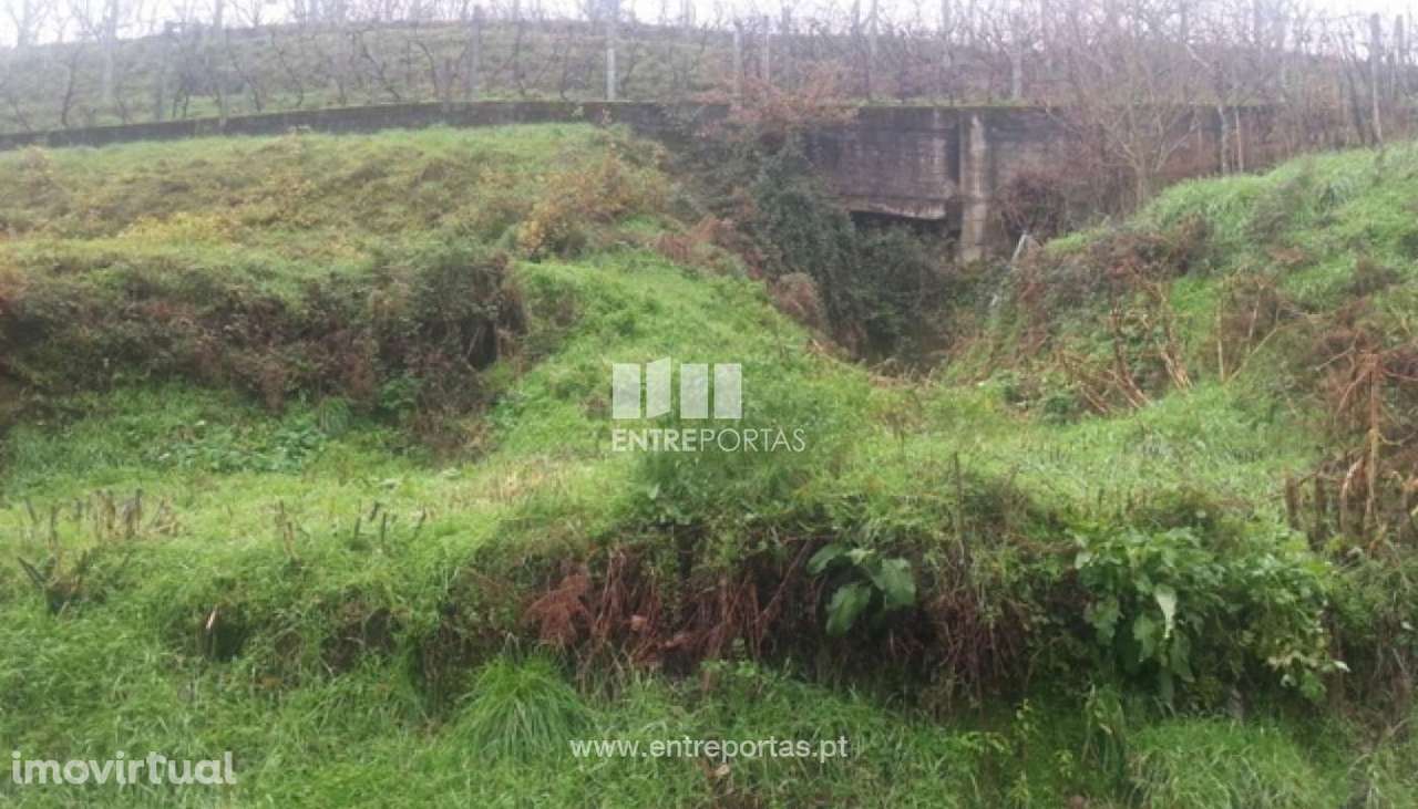 Venda 2 Lotes, Telões, Amarante - Grande imagem: 5/30