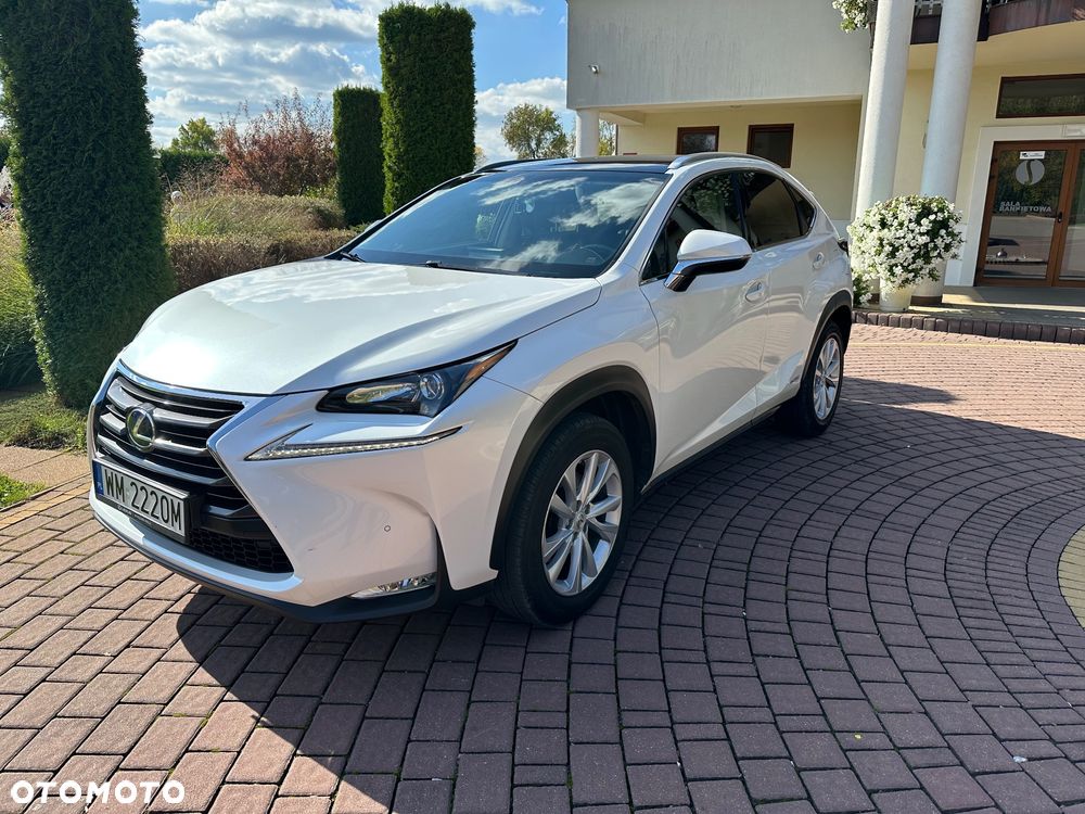 Lexus NX - 11