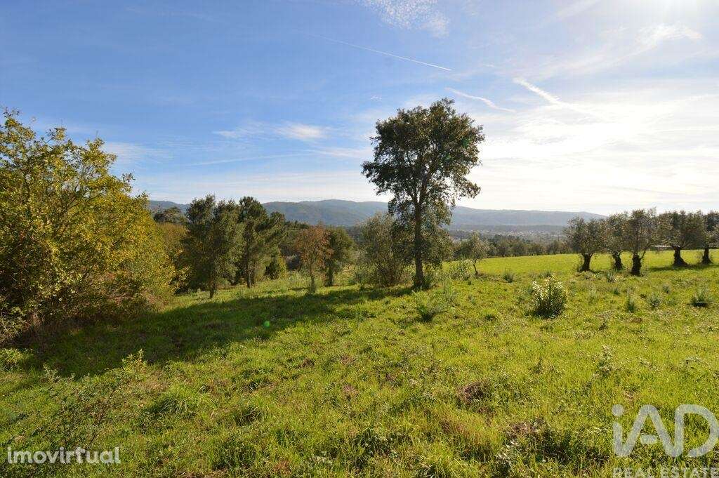 Casa / Villa em Miranda do Corvo de 102,00 m2 - Grande imagem: 5/10