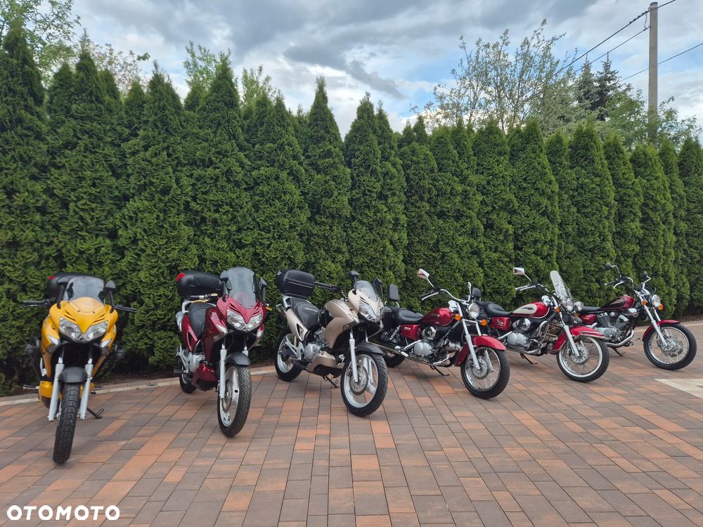 Honda Shadow - 22