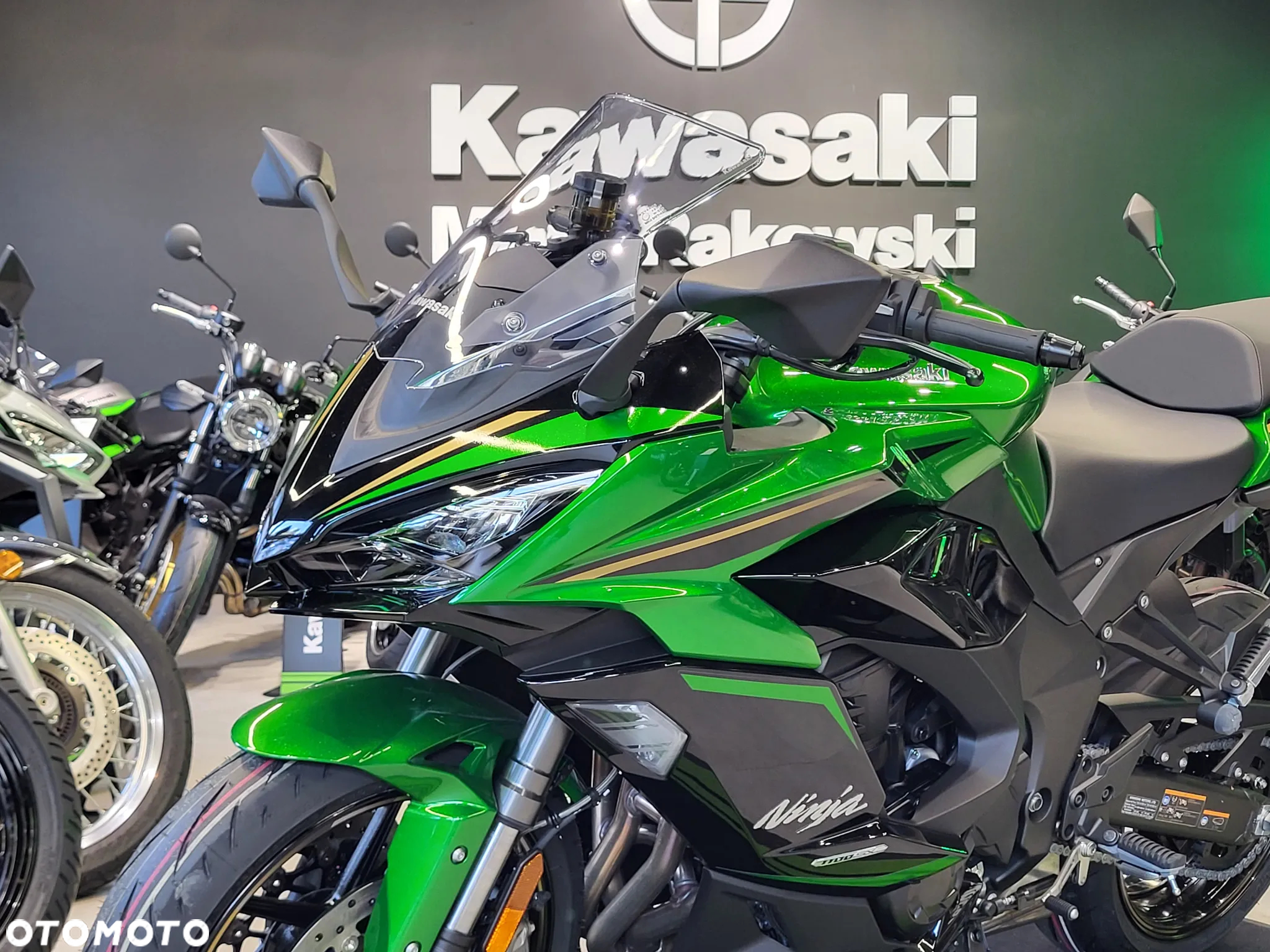 Kawasaki Ninja - 13
