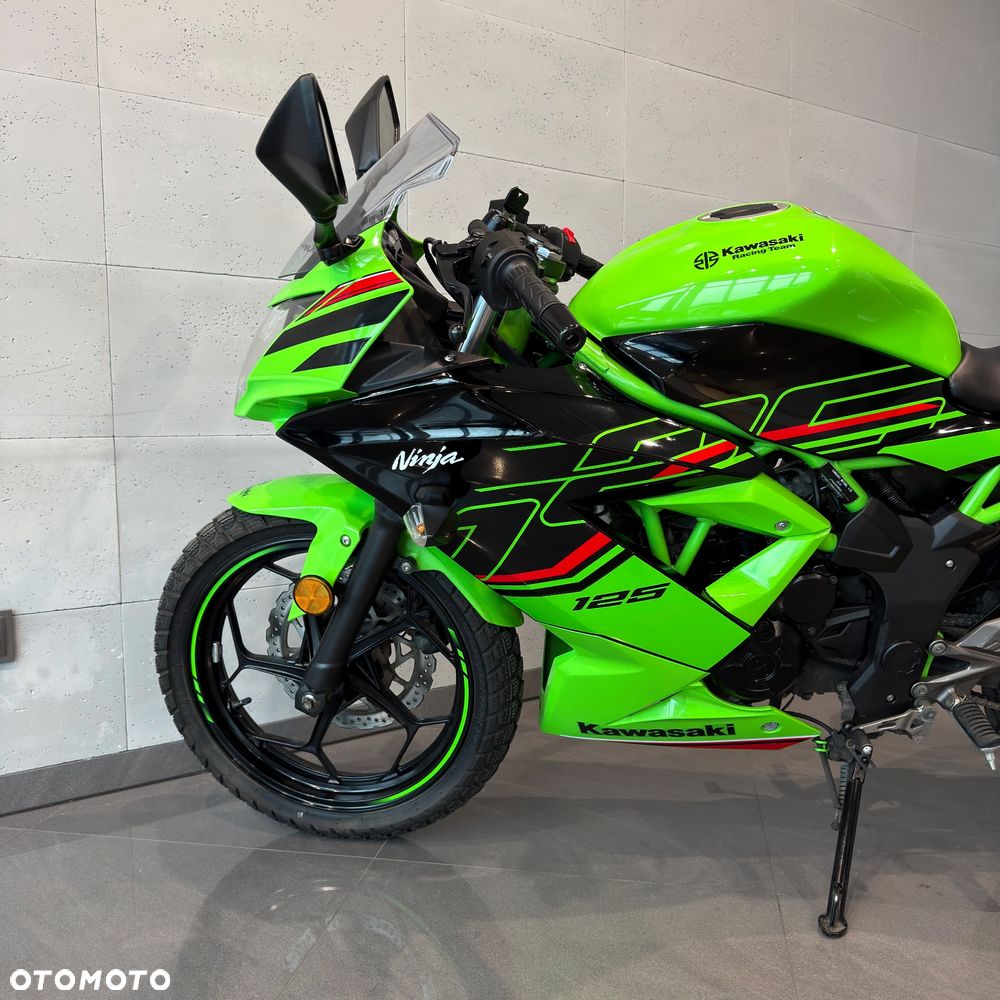 Kawasaki Ninja - 10