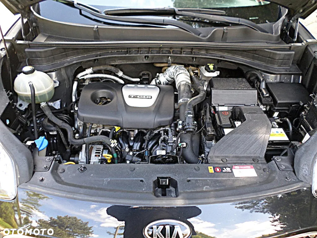 Kia Sportage 1.6 T-GDI L Business Line 4WD DCT - 39