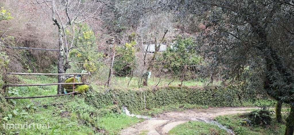 Terreno  Agrícola  Ecológico - Valdosende - Grande imagem: 5/26