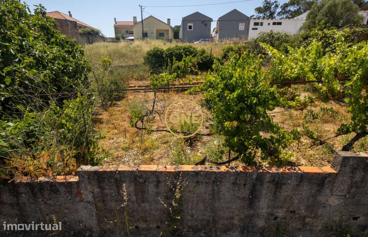 ***TERRENO URBANO CANEÇAS*** - Grande imagem: 3/11