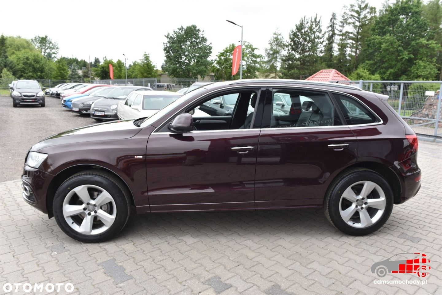 Audi Q5 - 8