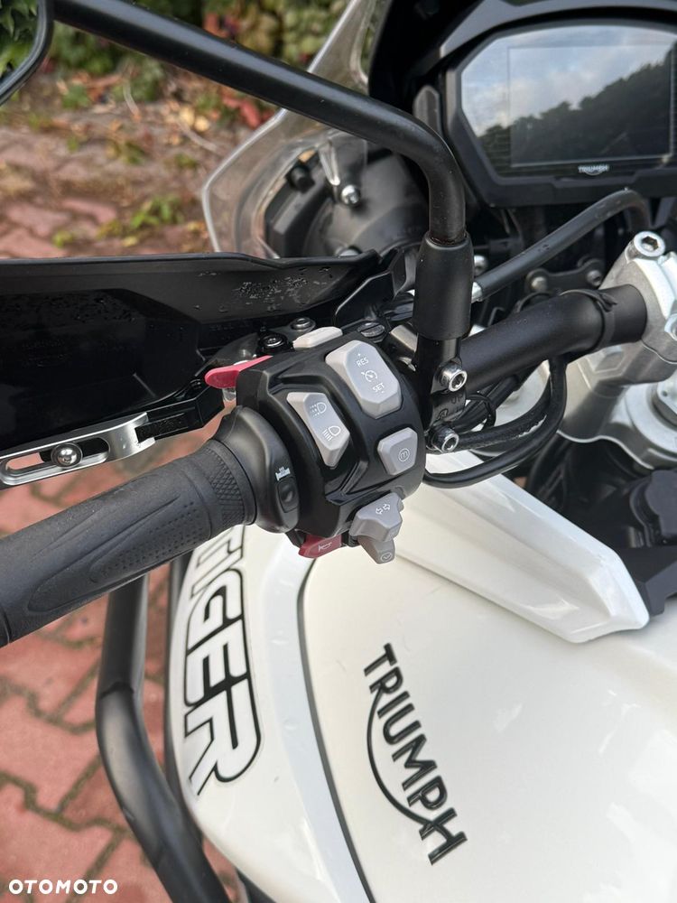 Triumph Tiger - 9