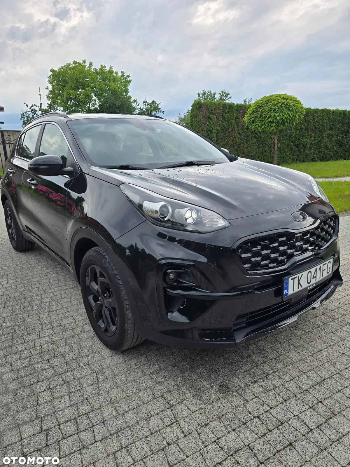 Kia Sportage - 34