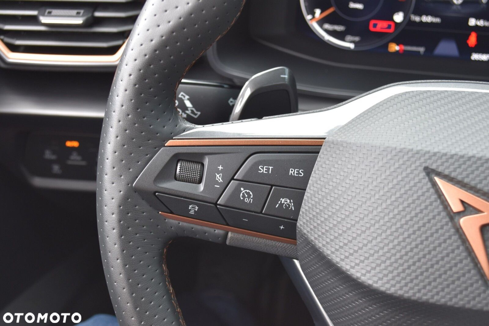 Cupra Formentor 2.0 TSI 4Drive DSG - 29