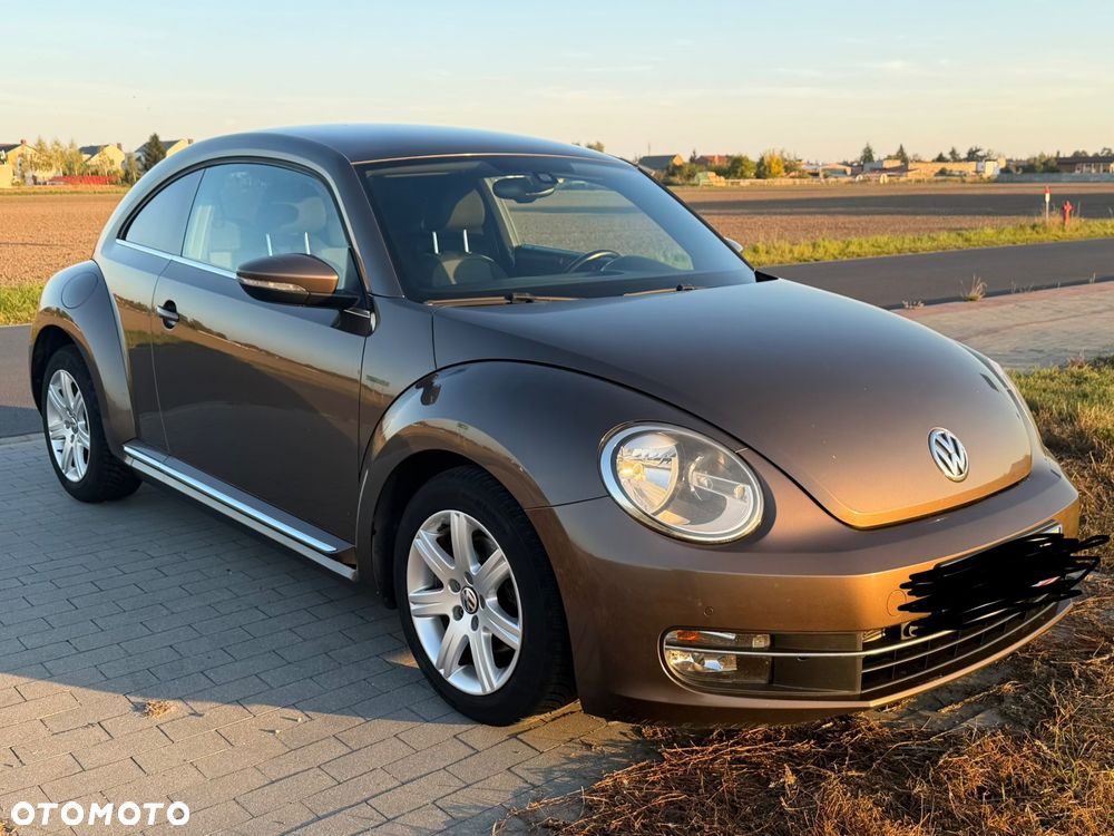 Volkswagen Beetle - 1