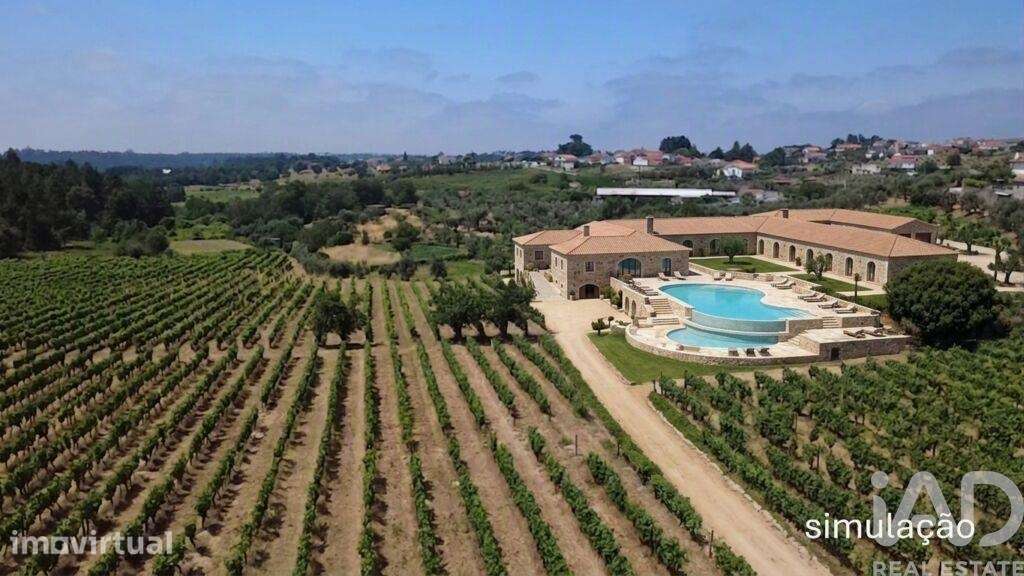 Quinta agricola em Carvalhal Redondo e Aguieira de 52600 m2 - Grande imagem: 2/31