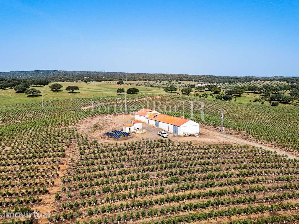 Herdade com 463 hectares em Évora - Grande imagem: 3/47