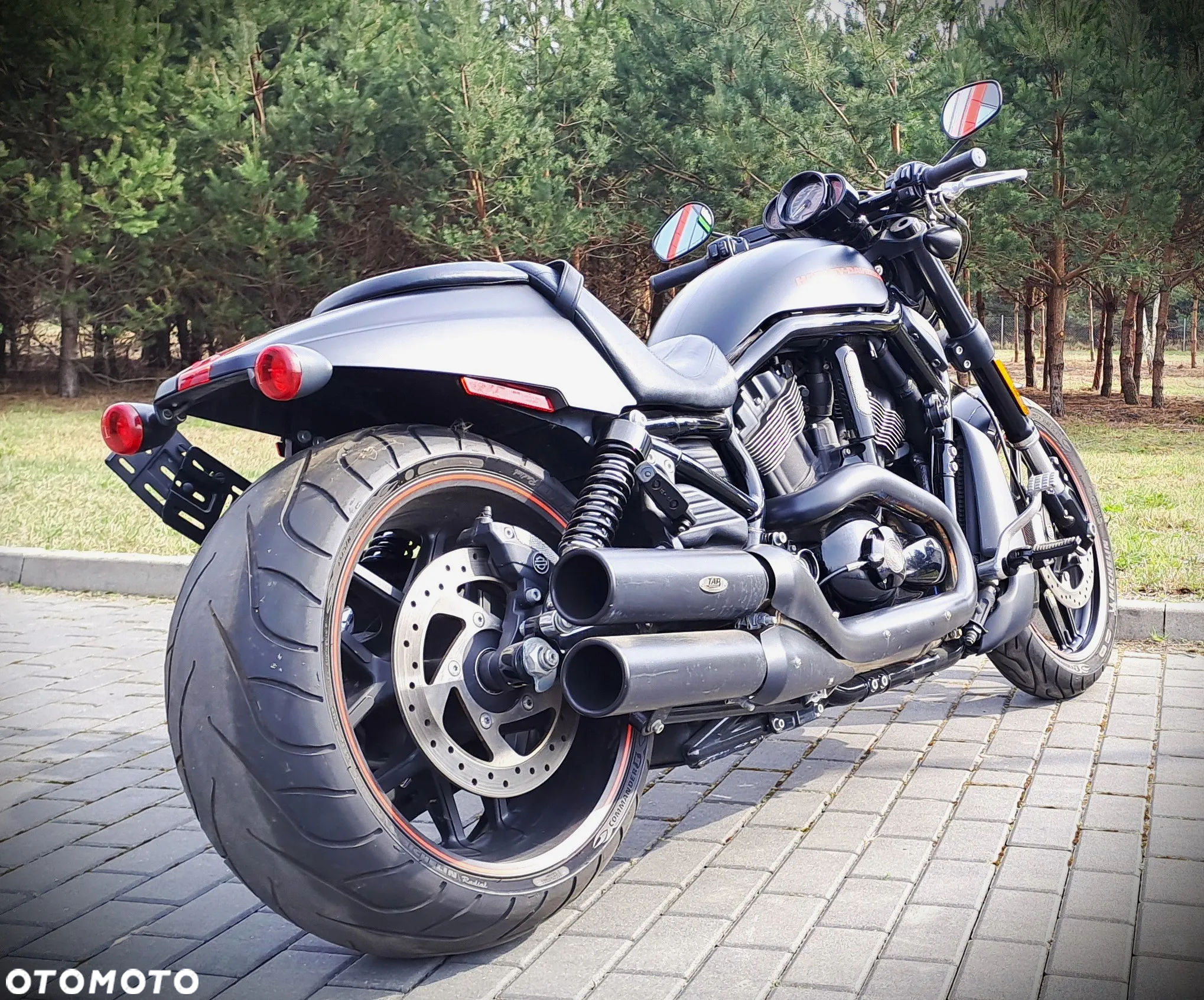 Harley-Davidson Softail V-Rod - 5