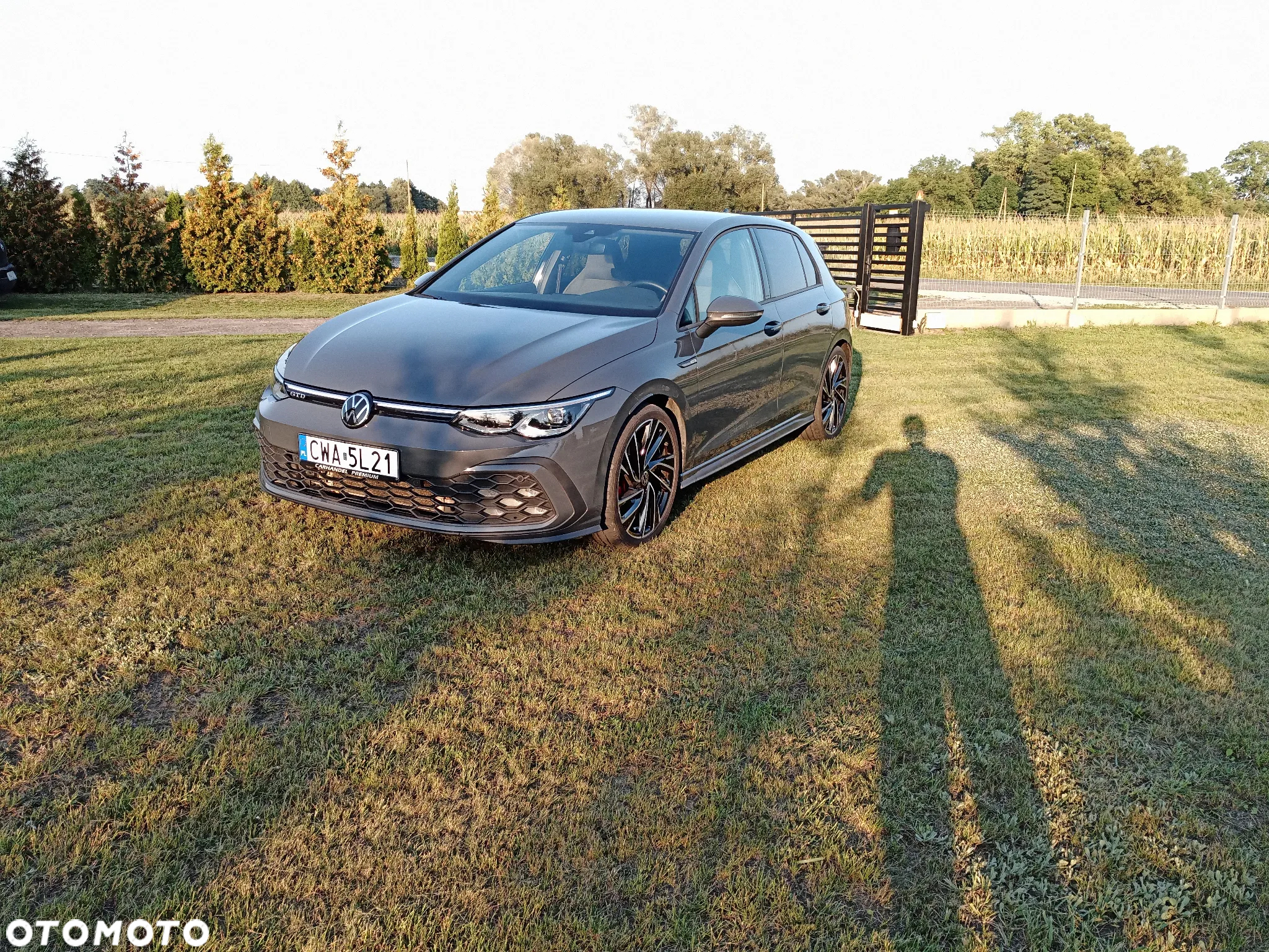 Volkswagen Golf VIII 2.0 TDI GTD DSG - 19