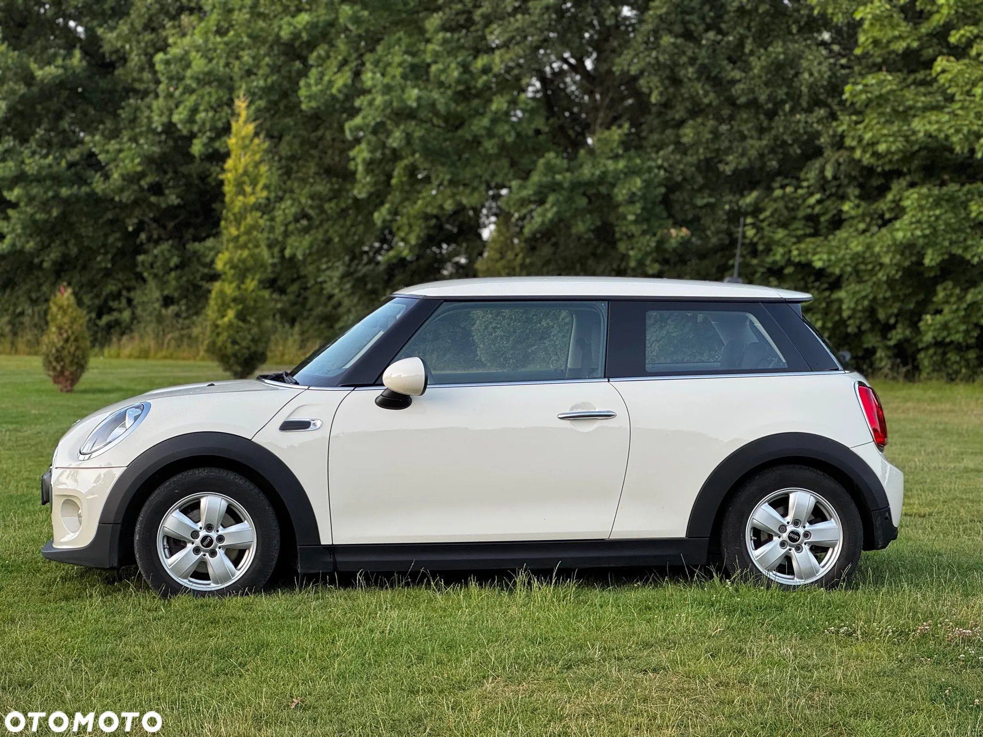 MINI ONE Standard - 2