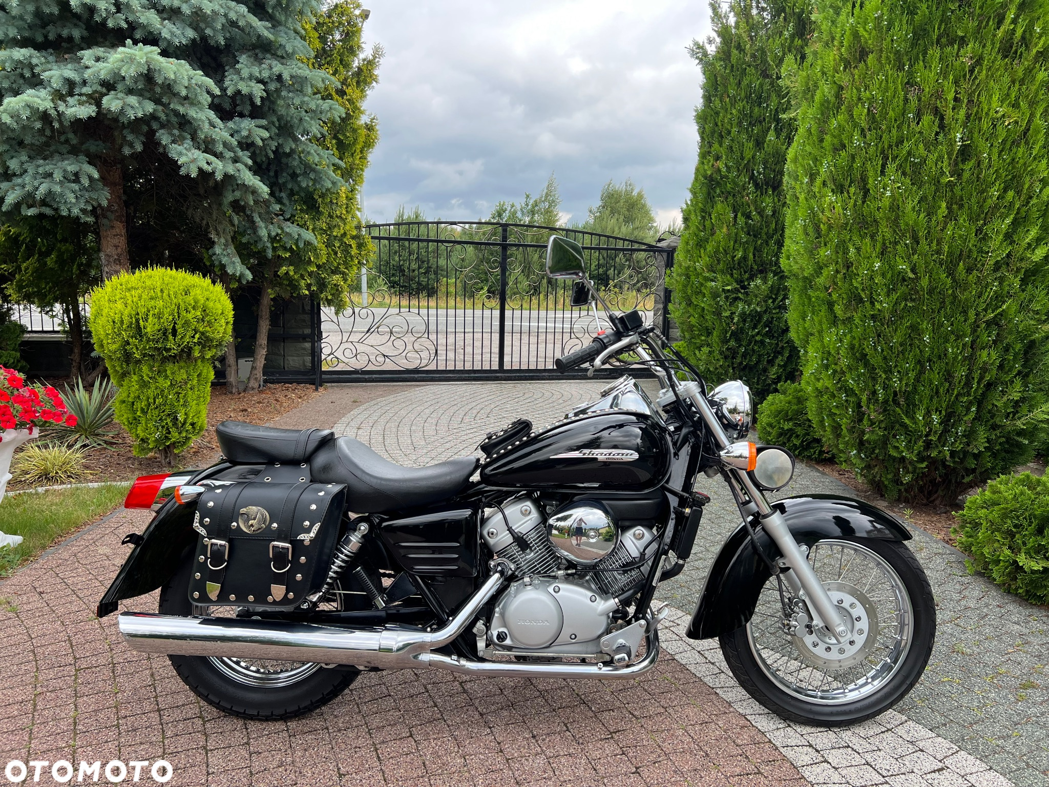 Honda Shadow - 7