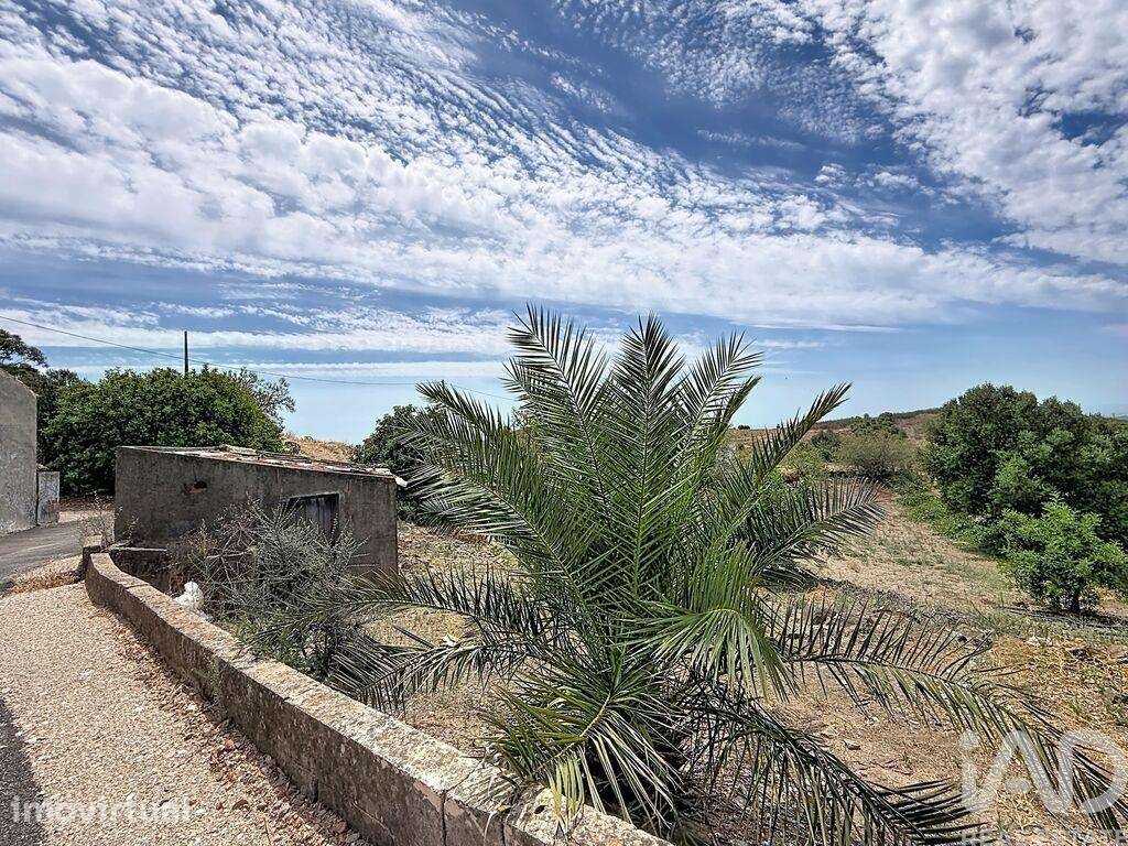 Moradia térrea em Conceição e Cabanas de Tavira de 39 m2 - Grande imagem: 4/6