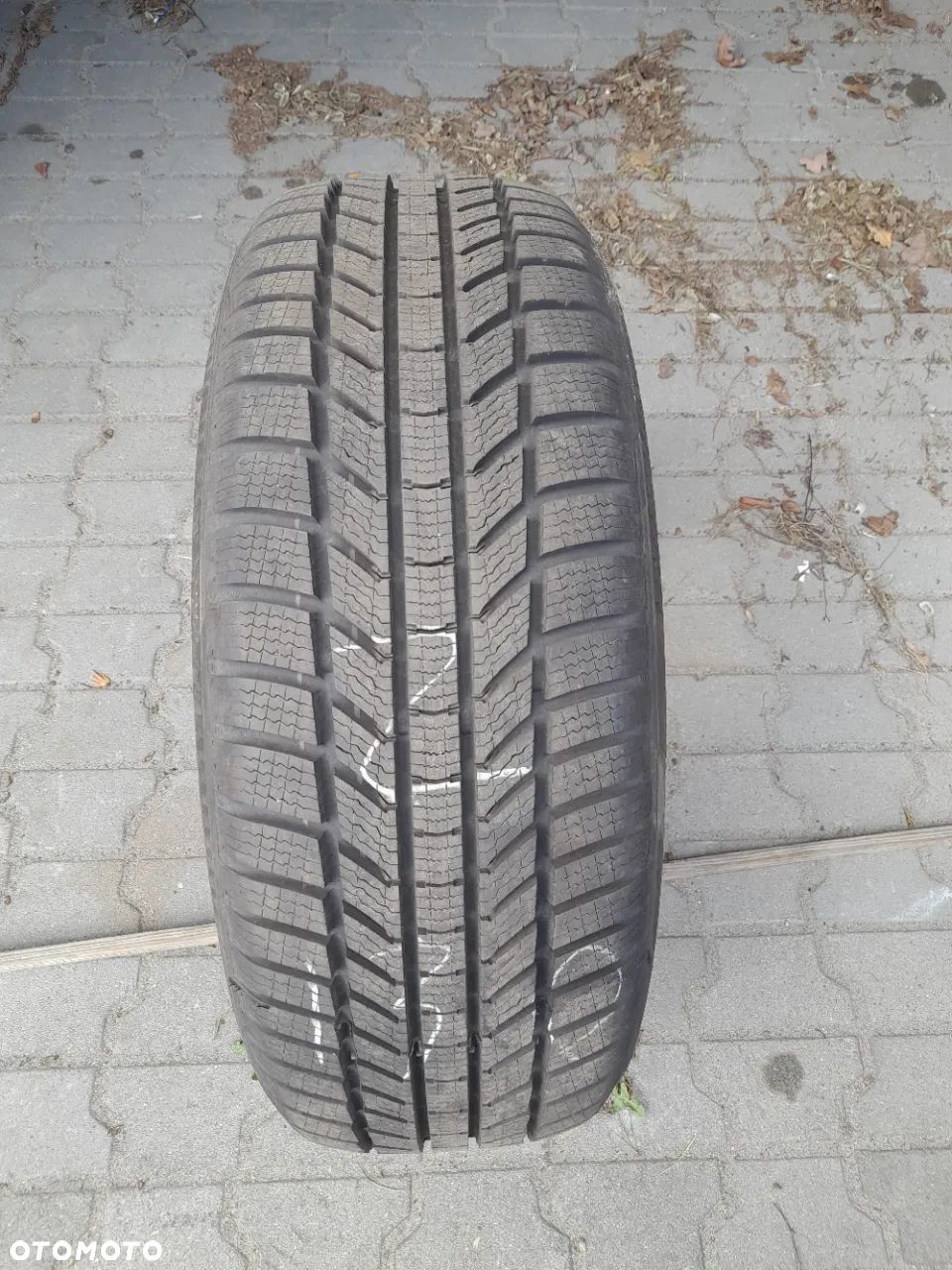 Continental Winter Contact TS870P 215/55/17 94H z130 - 1