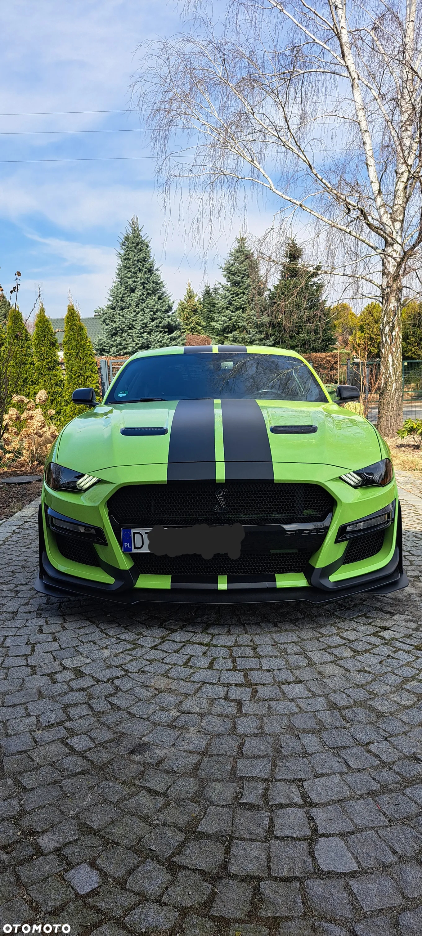Ford Mustang Fastback 5.0 Ti-VCT V8 BULLITT - 14
