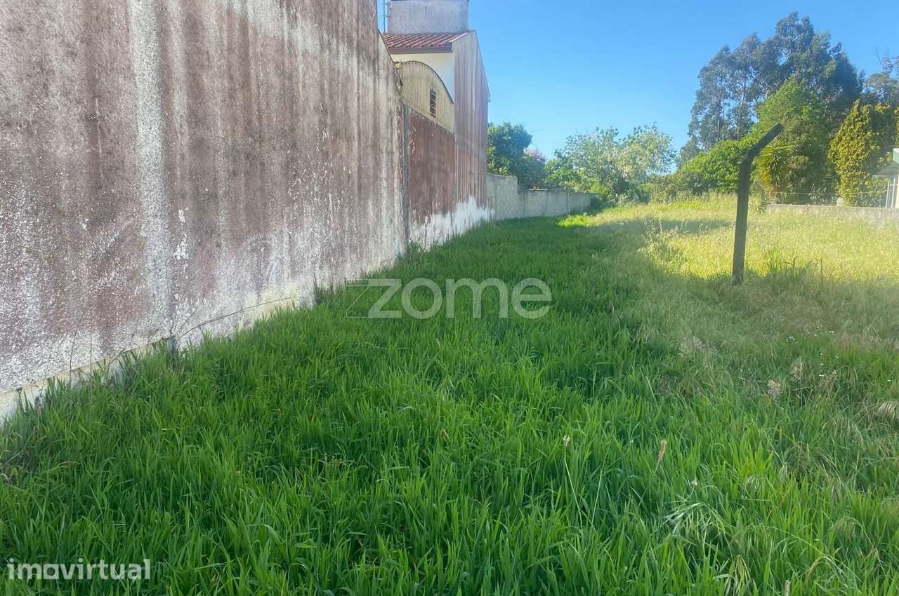Terreno na palhaça - Grande imagem: 3/9